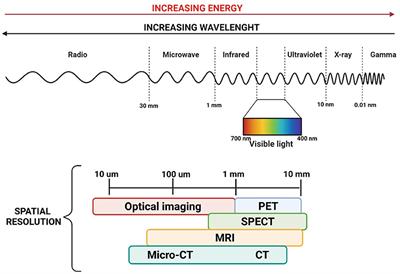 Above and Beyond Robotic Surgery and 3D Modelling in Paediatric Cancer Surgery